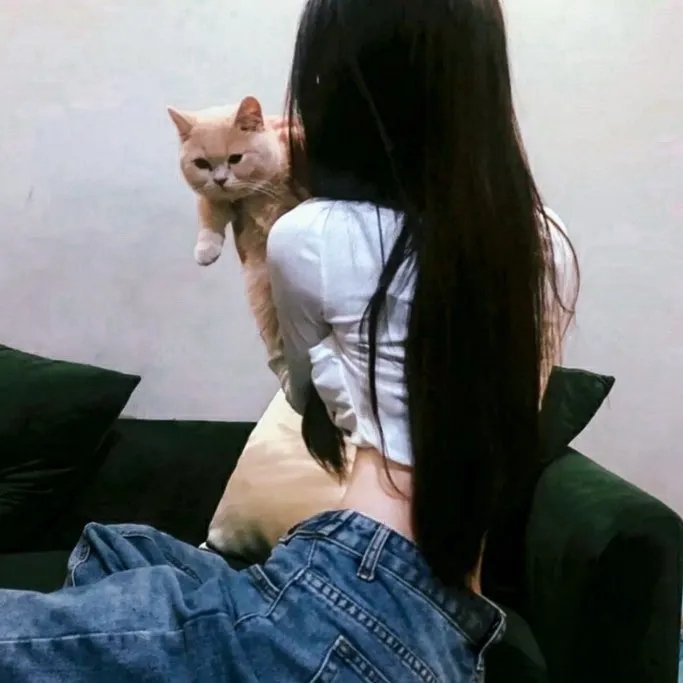 面包超人：梦猫王国的喵咪